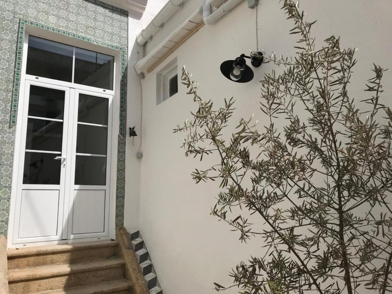 ポルタレグレCasa Do Doutorアパートメント エクステリア 写真